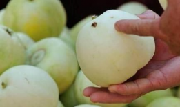 甜瓜视频,带你探索短视频世界的无限魅力