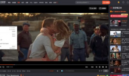 视频观看,XX领域的创新与突破